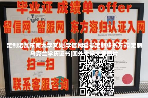 马里兰大学巴尔的摩分校文凭样本|仿制大学毕业证|意大利本科毕业证样本|国外大学毕业证电子版图片